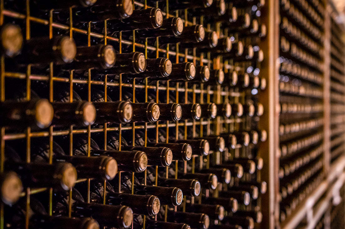Wine 101: Exploring the World of South Australian Wine